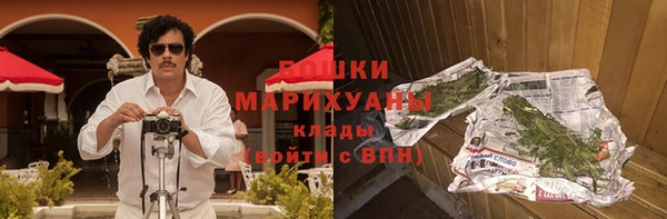 МДПВ Гусев