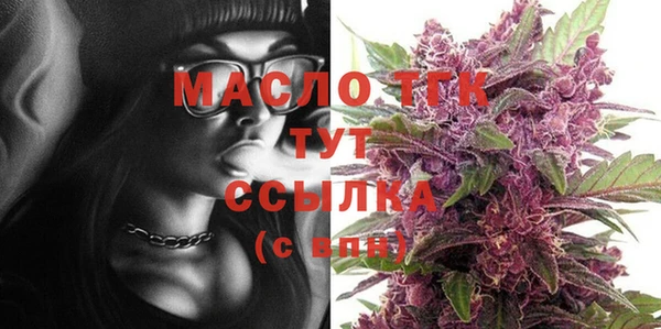 МДПВ Гусев