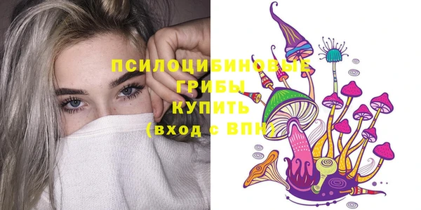 МДПВ Гусев