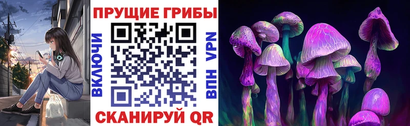 Галлюциногенные грибы ЛСД наркота Юрга