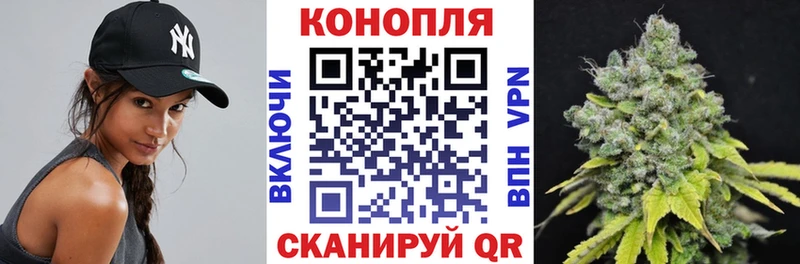 Канабис план  купить наркотик  МЕГА зеркало  Юрга 